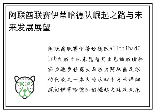 阿联酋联赛伊蒂哈德队崛起之路与未来发展展望